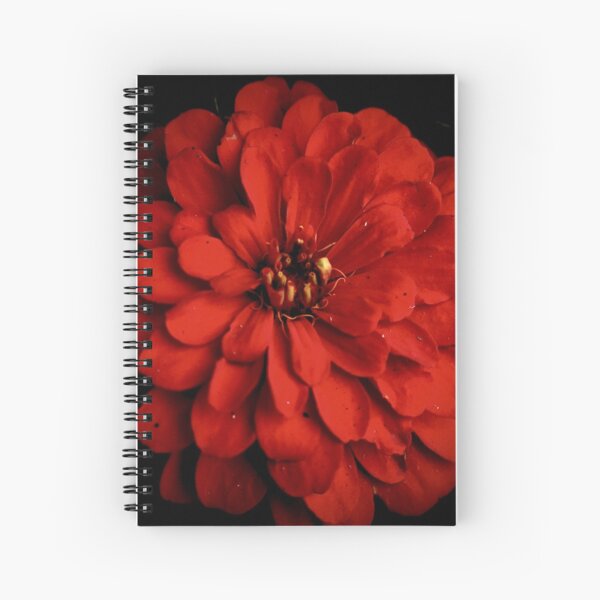 Red Zinnia On Black Spiral Notebook