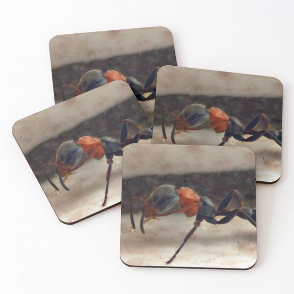 Item preview, ©NS Single Ant IAT designed and sold by OmarHernandez.