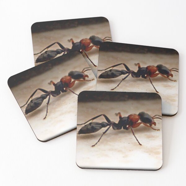 Item preview, ©NS Single Ant IIAT designed and sold by OmarHernandez.