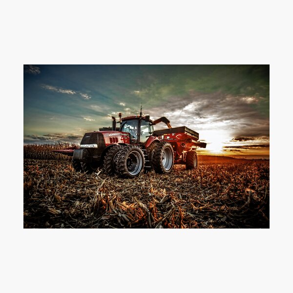 Catching Corn Photographic Print
