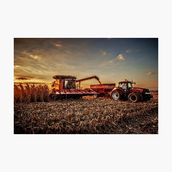 End of the Row Photographic Print