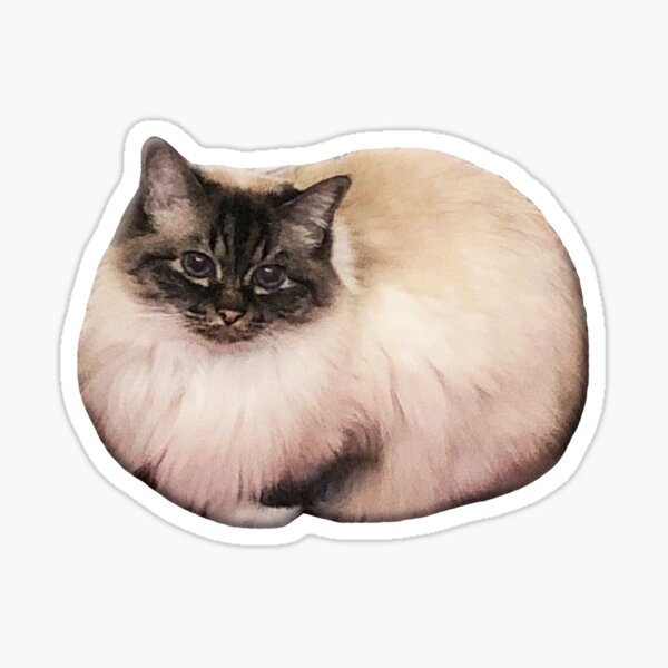 primcess pamcake - shape Sticker