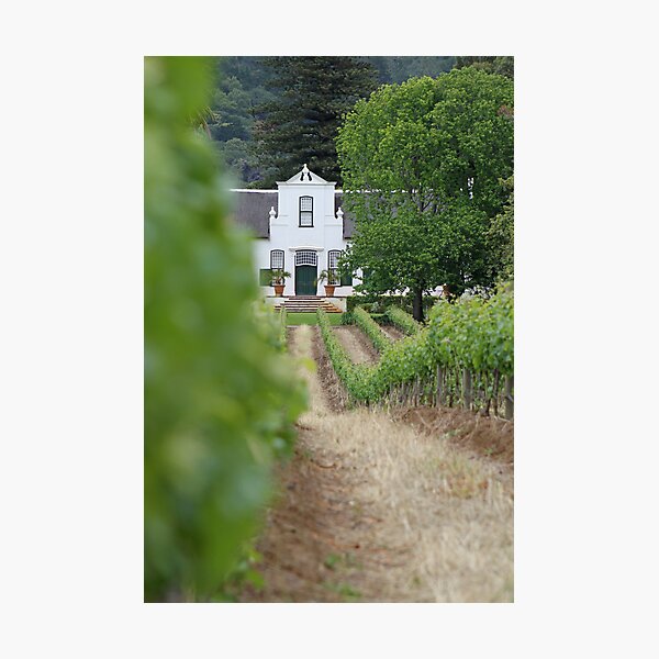 Item preview, Buitenverwachting Wine Estate designed and sold by Etwin.