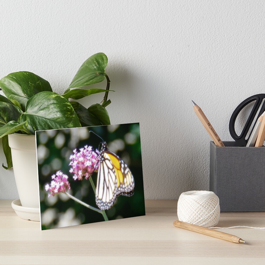 Item preview, Art Board Print designed and sold by shutterbug2010.