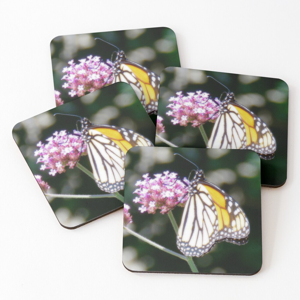 Item preview, Coasters (Set of 4) designed and sold by shutterbug2010.