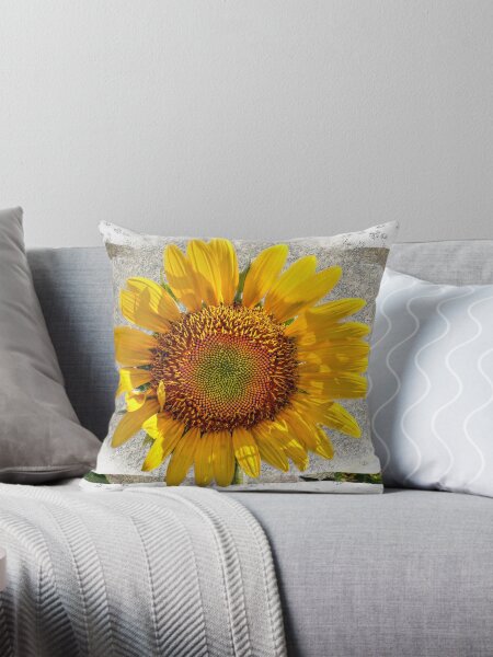 Yellow and gray throw pillows sale