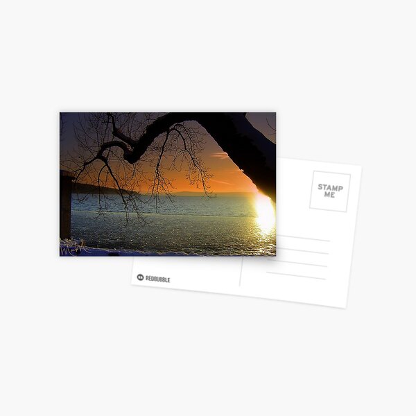 Tangerine Dream Postcard
