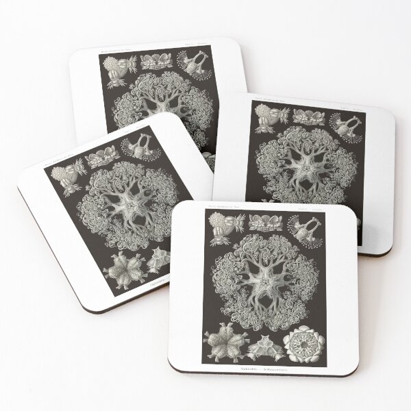 Item preview, Plate 70. Brittle stars shown in various stages of development. designed and sold by Squirrox.