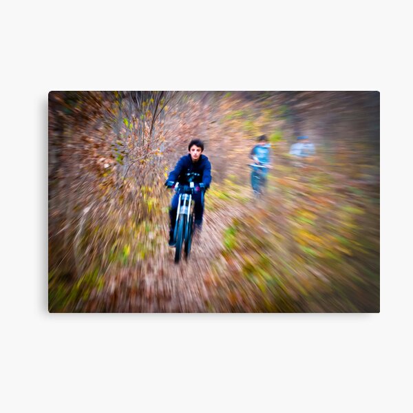 OnePhotoPerDay Series: 313 by C. Metal Print