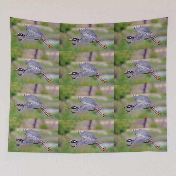 Item preview, Yellow-Crowned Night Heron designed and sold by Savannah Gibbs.