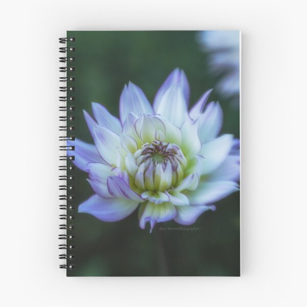 Item preview, 3952 designed and sold by Rrea Brown Photography.
