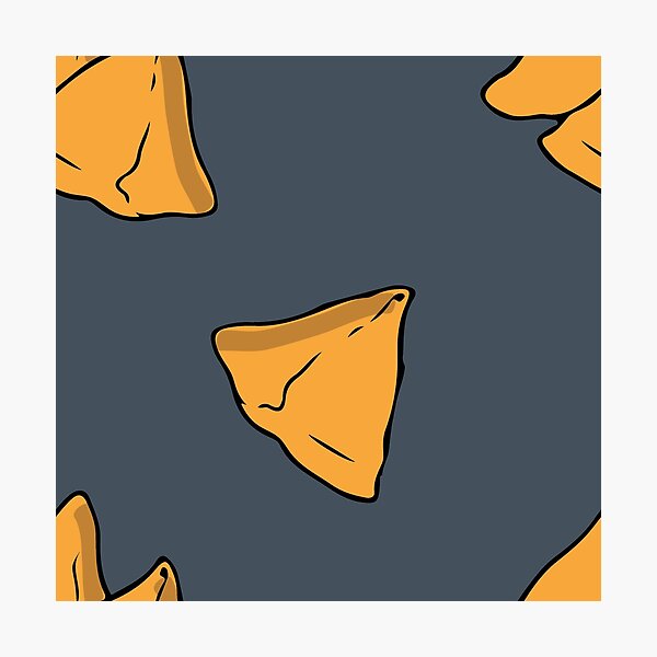 Samosa Art Photographic Print