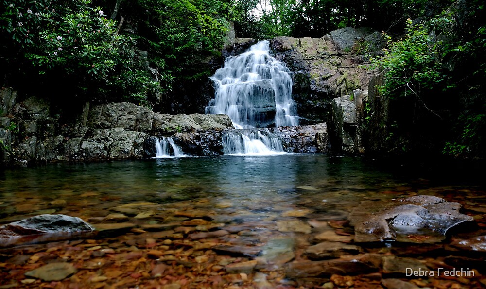 "Hawk Falls 1" by Debra Fedchin Redbubble