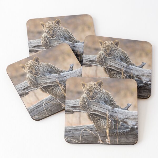 Item preview, Oops designed and sold by Wild Images.