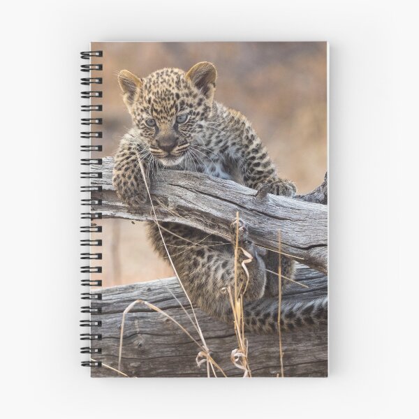 Item preview, Oops designed and sold by Wild Images.