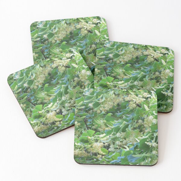 Item preview, Linden Blossoms, Le Mans designed and sold by georgebarnard.