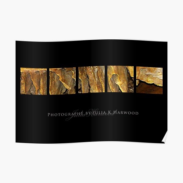 Honeycomb ~ Signature Series Poster