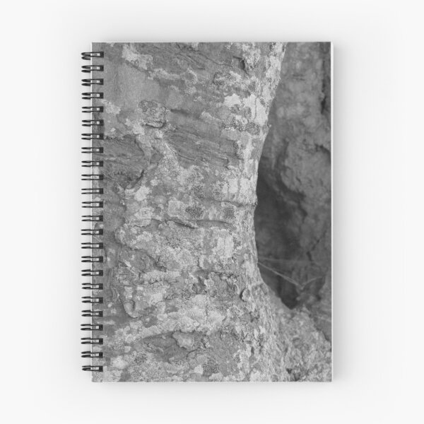 Item preview, Tree Trunk, Le Mans designed and sold by georgebarnard.