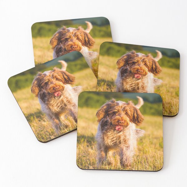 Item preview, Something on the floor Spinone designed and sold by FOLK ART FUSION by heidiannemorris.