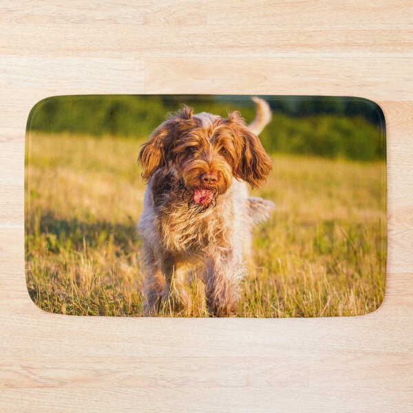 Item preview, Something on the floor Spinone designed and sold by FOLK ART FUSION by heidiannemorris.
