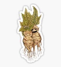 Mandrakes - Cute couples of mandragoras - Couple of old mandrakes Sticker