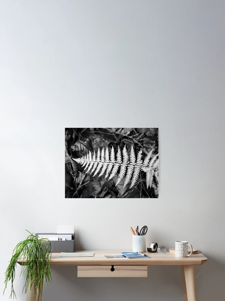 Thumbnail 2 of 3, Poster, Fishbones designed and sold by RVogler.