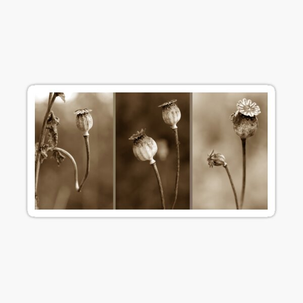 Item preview, Sleepy Heads Triptych designed and sold by cuprum.