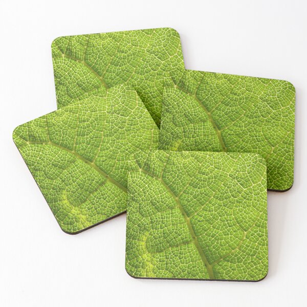 Item preview, Leaf Streets designed and sold by C Rose.