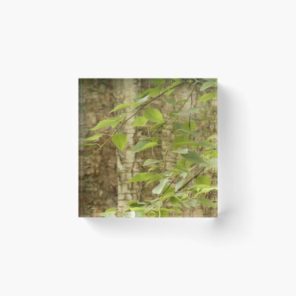 Item preview, Peaceful designed and sold by C Rose.