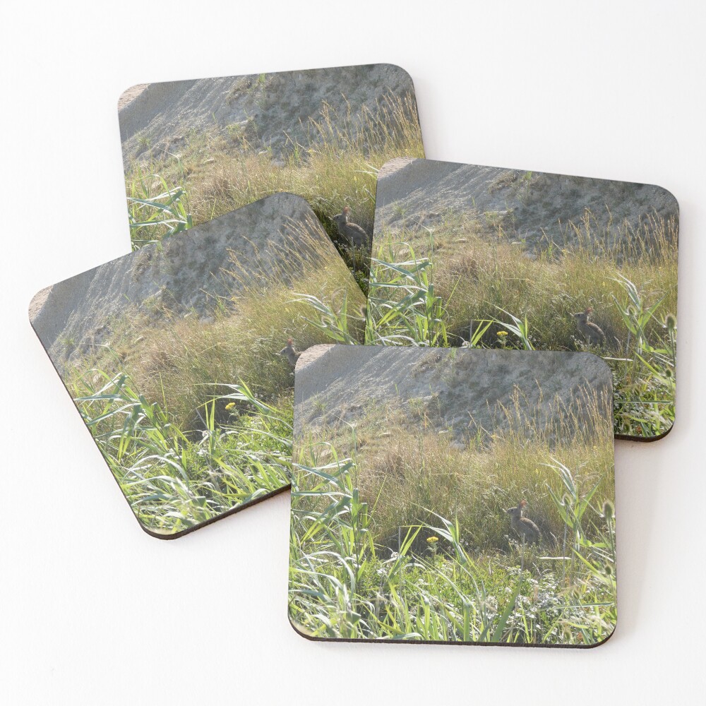 Item preview, Coasters (Set of 4) designed and sold by bexceli.