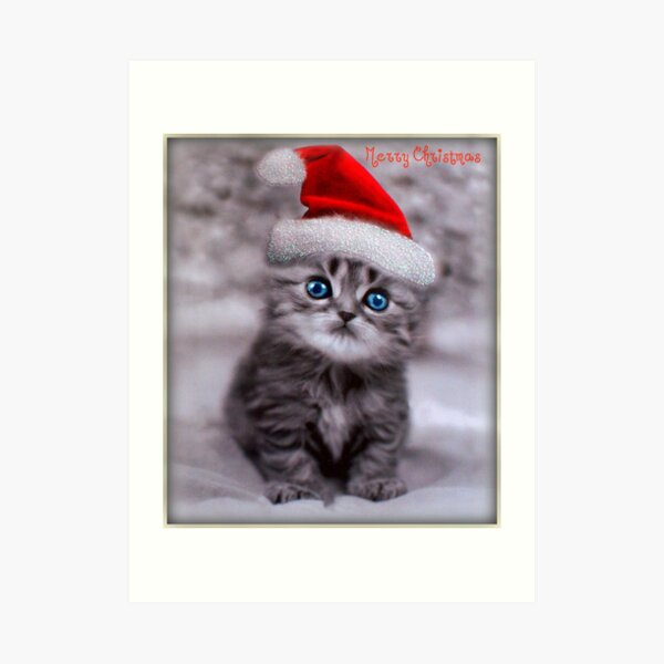 Xmas Cat Art Print