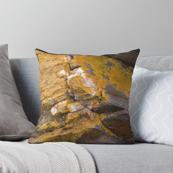 Artikelvorschau, Quarz und Flechte, Schwefel-Nebenfluss, Tasmanien, Australien. entworfen und verkauft von kaysharp.