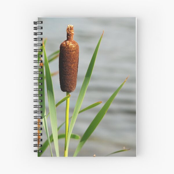 Item preview, cattail1 designed and sold by fishinmusician.