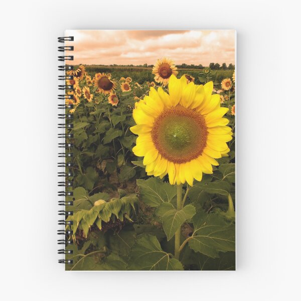 Item preview, Early Morning View  designed and sold by hannahsview.