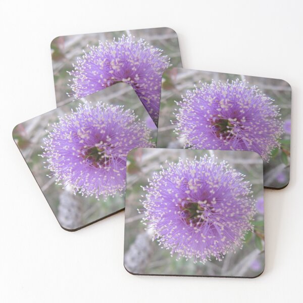 Item preview, Beautiful Australian Native Flower 'Nesophila', macro, grows in profusion on the shrub.  designed and sold by RitaBlom.