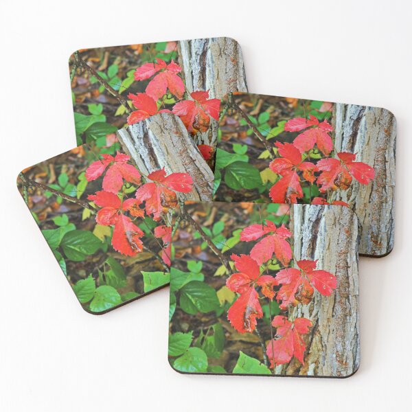Item preview, Fare Thee Well designed and sold by Michiale.