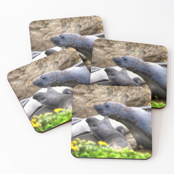 Item preview, Elephant Seals designed and sold by Kathy Weaver.