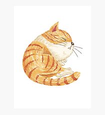 Tabby sleeping Photographic Print