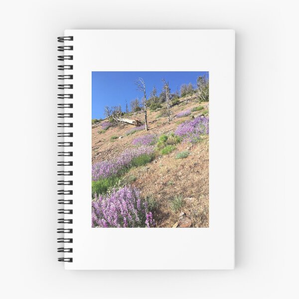 Item preview, Desert blooms in spring. designed and sold by Nicky5073.