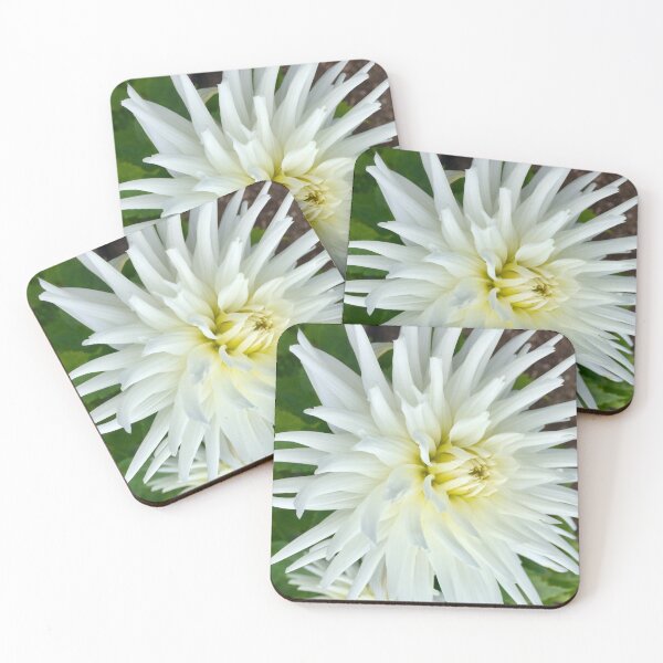 Item preview, White Dalia  designed and sold by Angela Haig-Harrison.