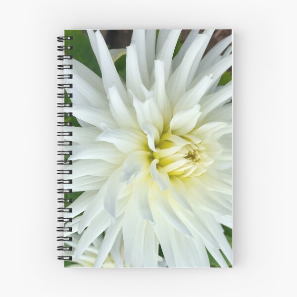 Item preview, White Dalia  designed and sold by Angela Haig-Harrison.