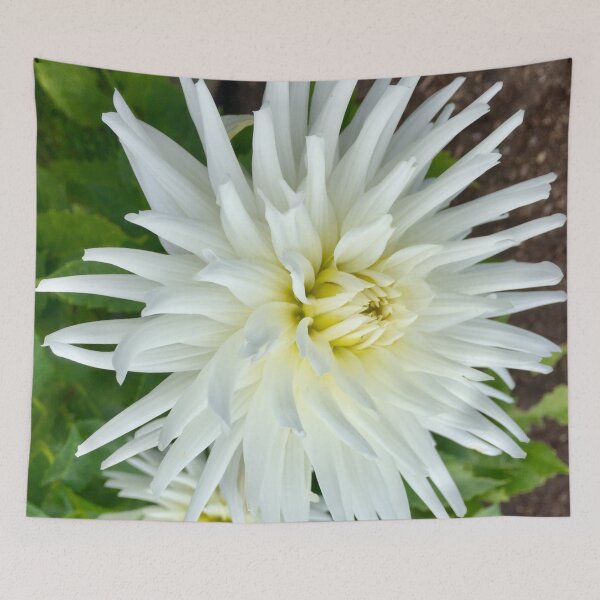 Item preview, White Dalia  designed and sold by Angela Haig-Harrison.