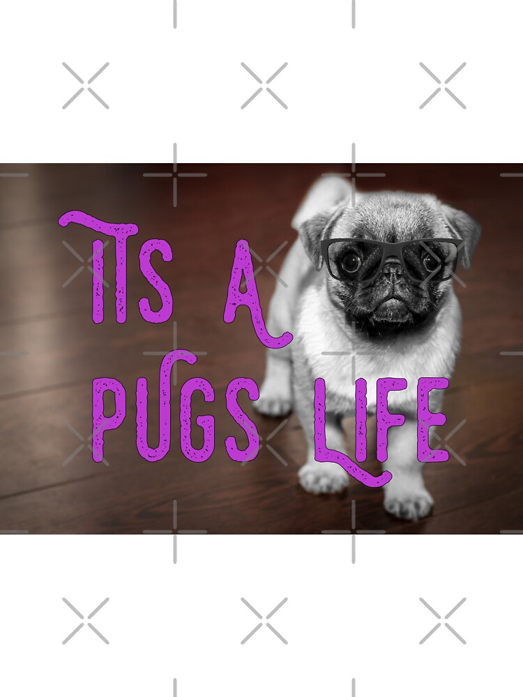 it's a pug life