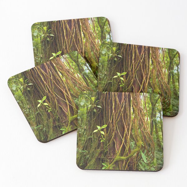 Item preview, Forest Series: Big and beautiful - Costa Rican Rainforest designed and sold by Tracy Riddell.