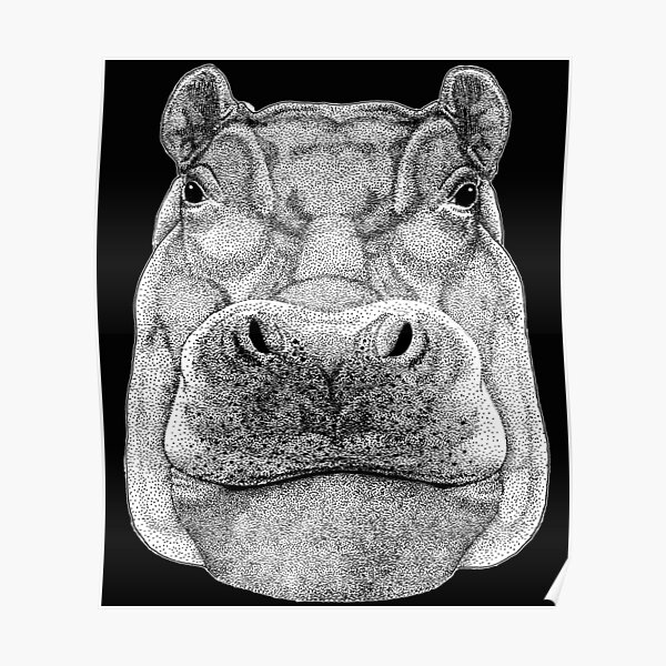 HIPPOPOTAMUS HIPPO DRAWING Poster