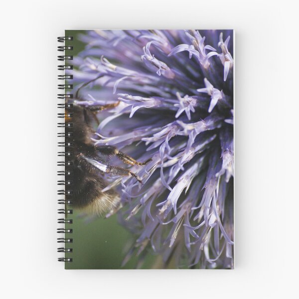 Aperçu de l'œuvre abeille créée et vendue par James Rutherford.