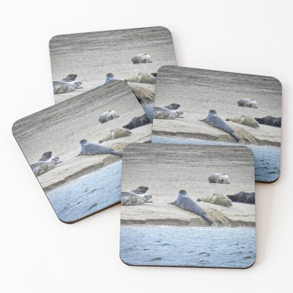 Item preview, Grey seals, Scotland designed and sold by Yellow-14.
