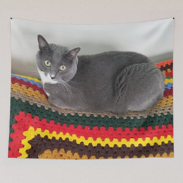 Item preview, Comfy Cat Blanket designed and sold by MooseDogPhotos.