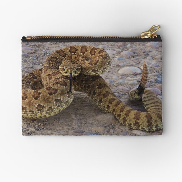 Poised to Strike Zipper Pouch