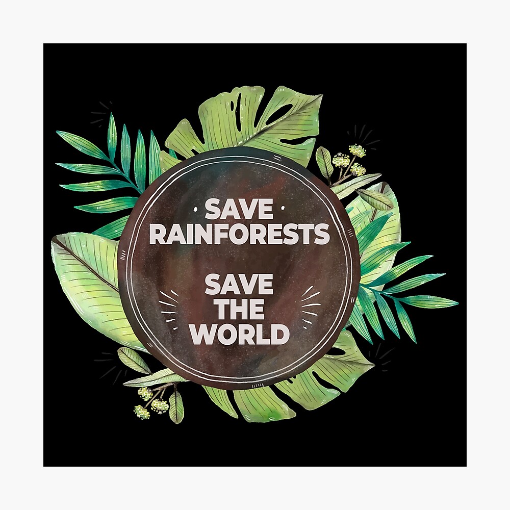 Rainforest Deforestation Cut Out Stock Images Pictures